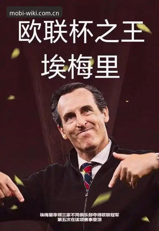 揭秘埃梅里欧联杯五冠王背后的真相：维拉终结30年冠军荒的战术革命